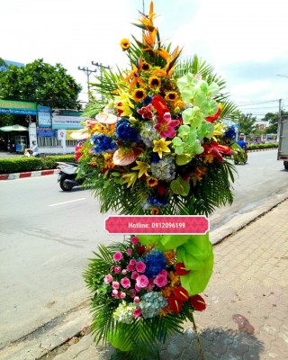 Congratulation Flowers Binh Duong 02