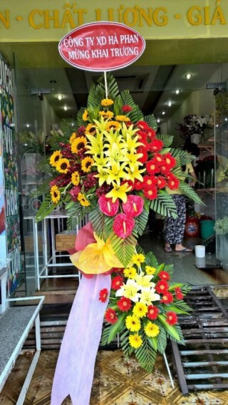Flowers Opened In Binh Duong 40