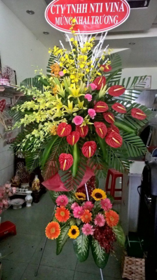 Flowers Opened In Binh Duong 44