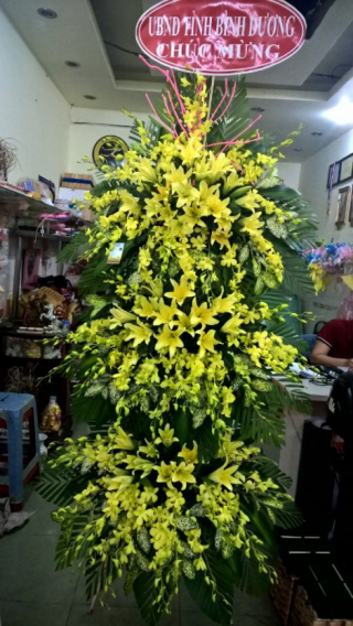 Flowers Opened In Binh Duong 46