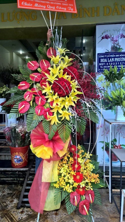 Flowers Opened In Binh Duong 60