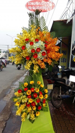 Flowers Opened In Binh Duong 113