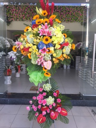 Flowers Opened In Binh Duong 123