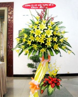 Flowers Opened In Binh Duong 17