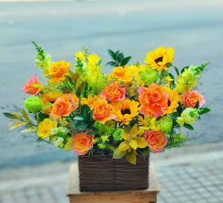 Bau Bang Congratulation Flower Basket 05