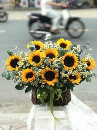 Thuan An Congratulation Flower Basket 05