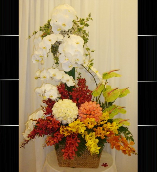 Congratulation Flowers Binh Duong 18