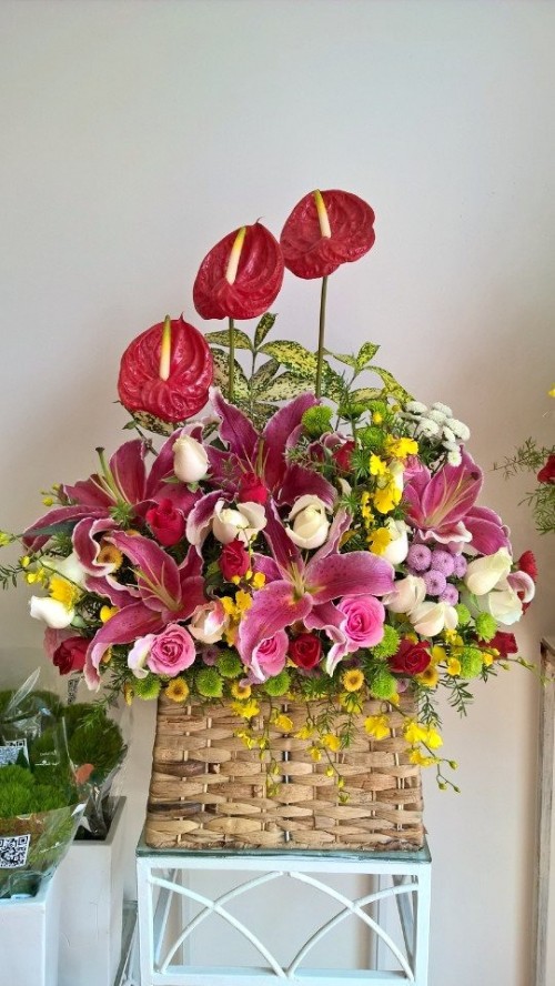 Congratulation Flowers Binh Duong 29