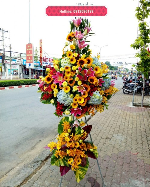 Congratulation Flowers Binh Duong 03