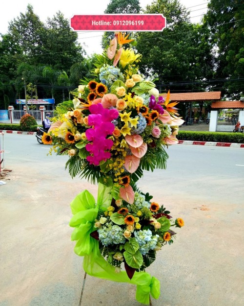 Congratulation Flowers Binh Duong 04