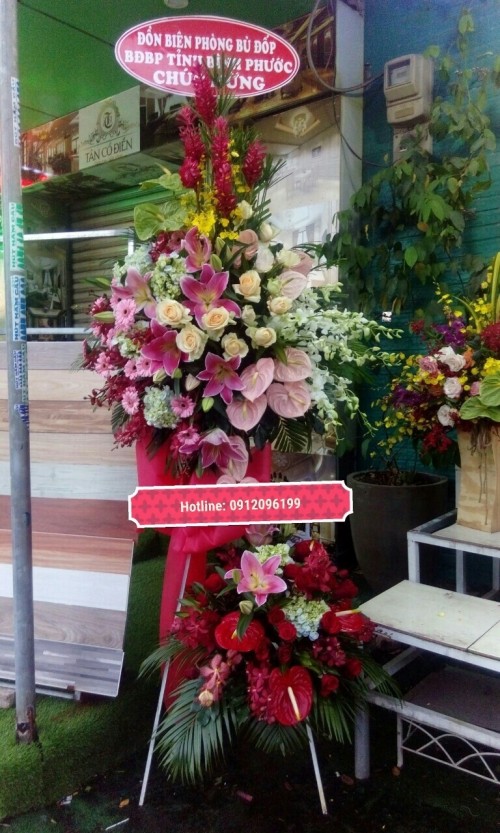 Congratulation Flowers Binh Duong 12