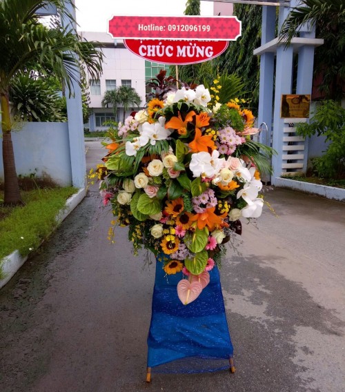 Congratulation Flowers Binh Duong 13