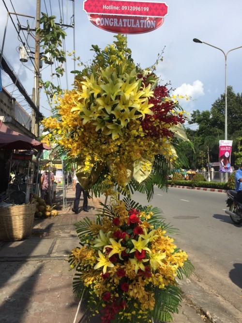 Congratulation Flowers Binh Duong 14