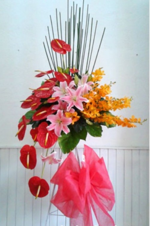 Flowers Opened In Binh Duong 07