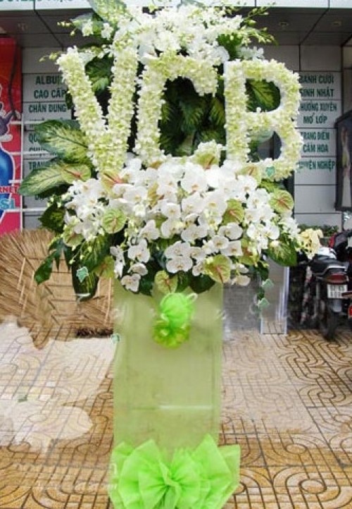 Flowers Opened In Binh Duong 13