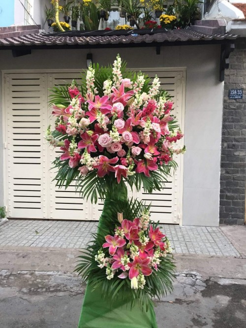 Flowers Opened In Binh Duong 124