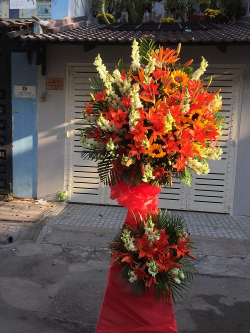 Flowers Opened In Binh Duong 125