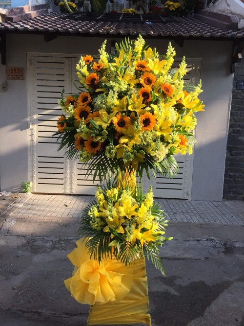 Flowers Opened In Binh Duong 126