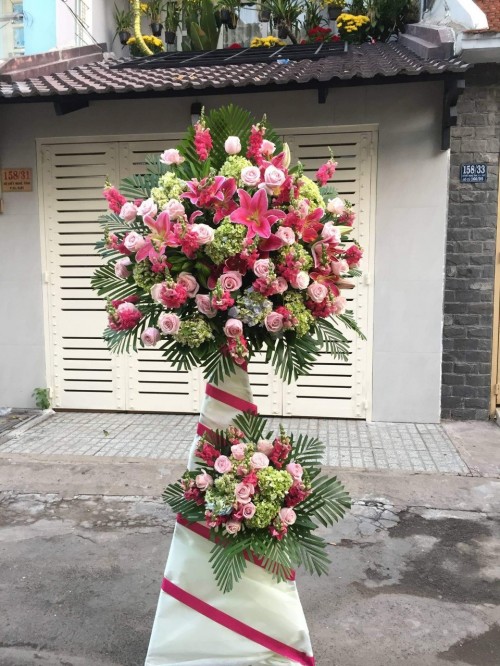 Flowers Opened In Binh Duong 127