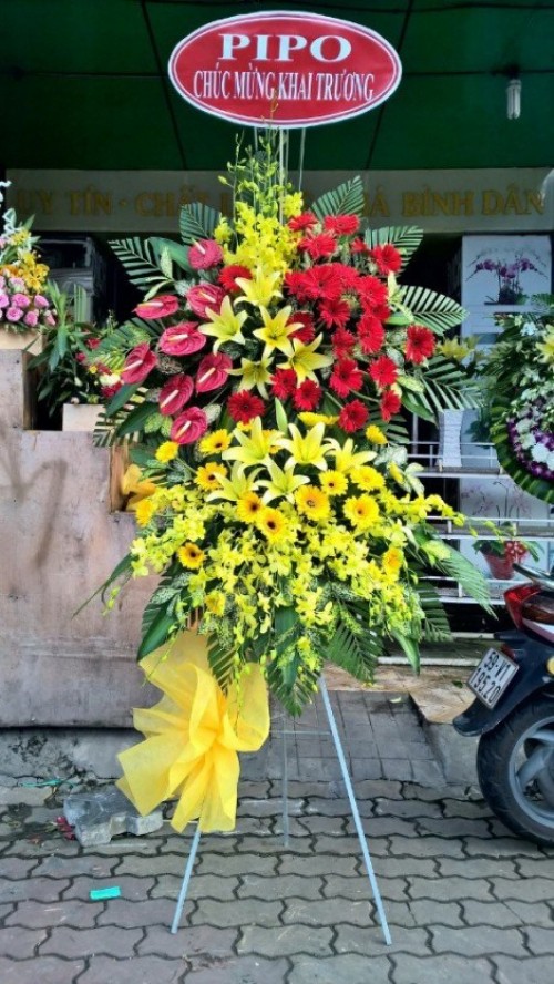 Flowers Opened In Binh Duong 25