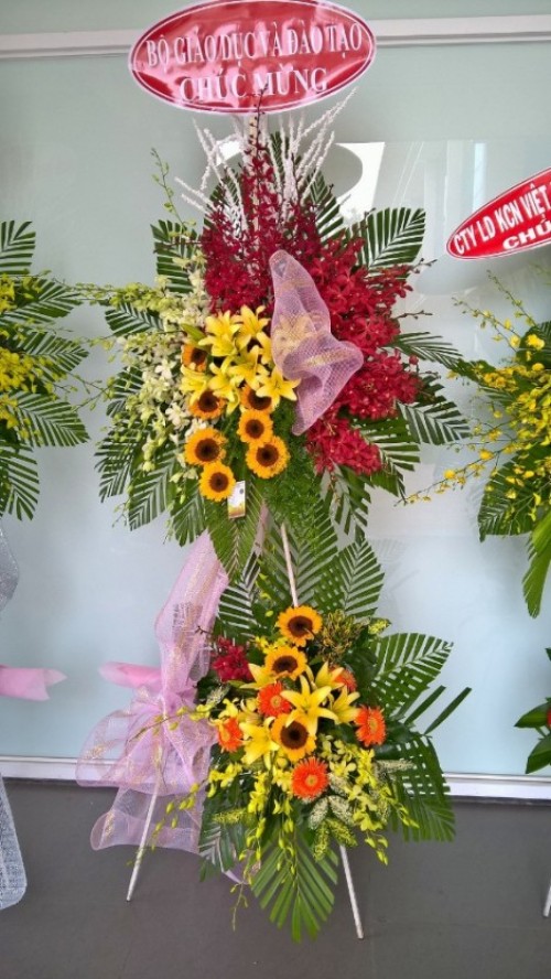 Flowers Opened In Binh Duong 28