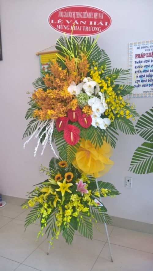 Flowers Opened In Binh Duong 31