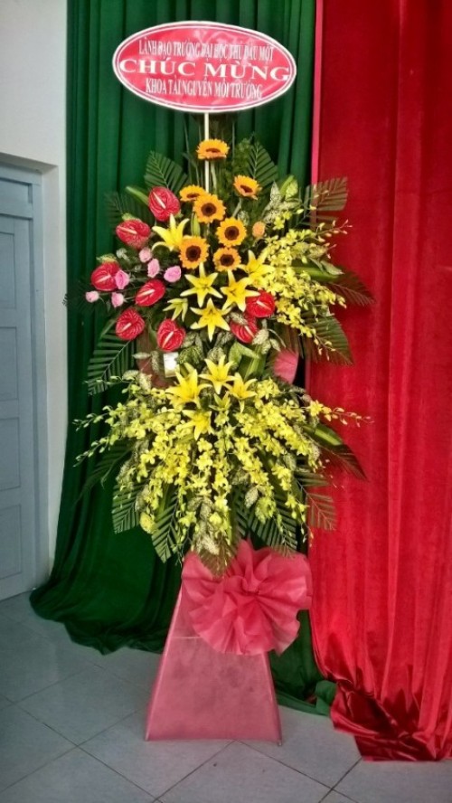 Flowers Opened In Binh Duong 32