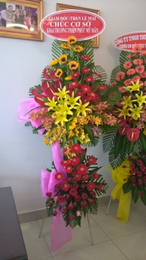 Flowers Opened In Binh Duong 33
