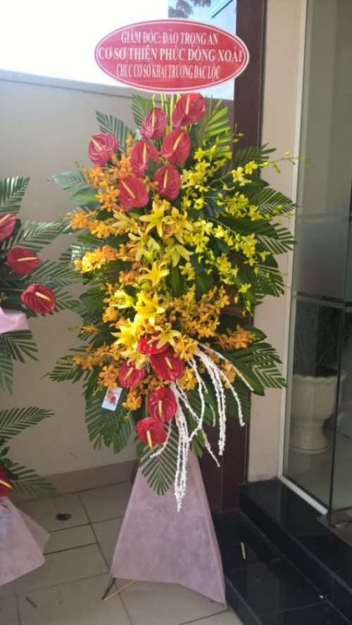 Flowers Opened In Binh Duong 34
