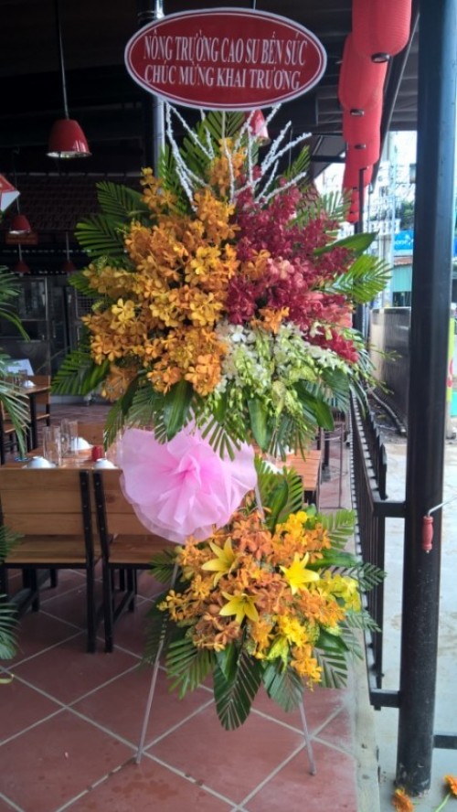Flowers Opened In Binh Duong 36