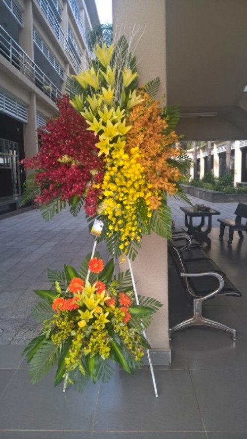 Flowers Opened In Binh Duong 37