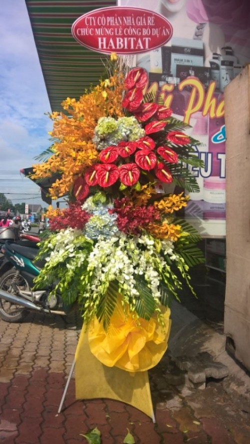 Flowers Opened In Binh Duong 38