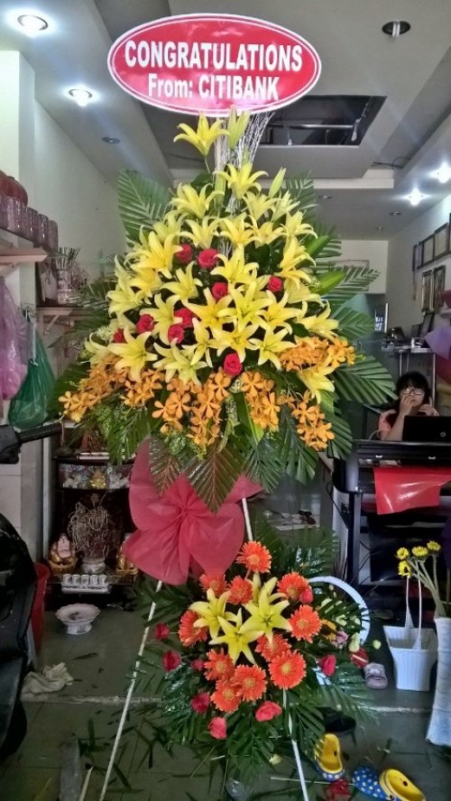 Flowers Opened In Binh Duong 39