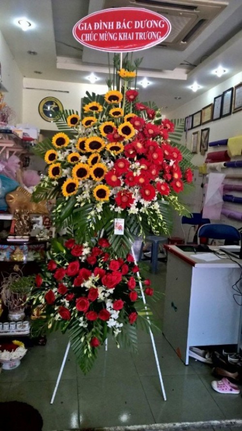Flowers Opened In Binh Duong 41