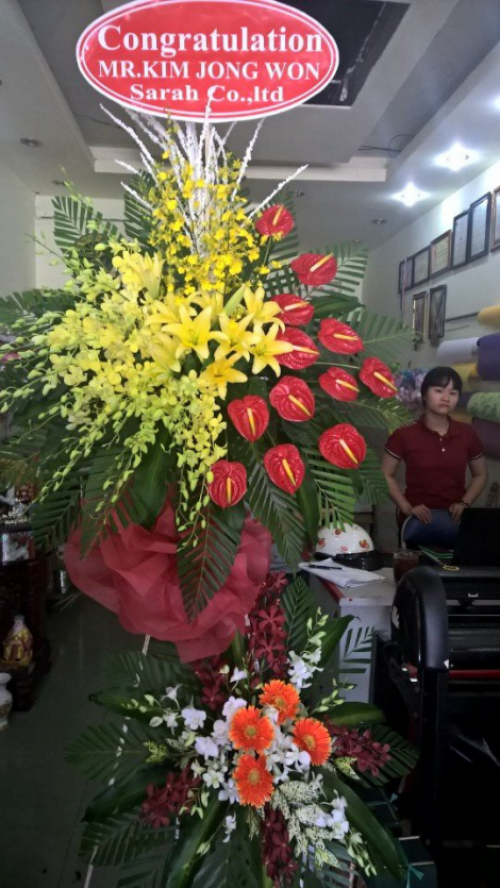 Flowers Opened In Binh Duong 43