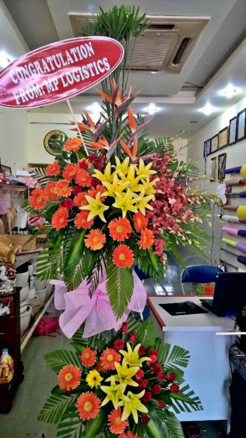 Flowers Opened In Binh Duong 45