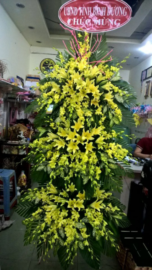 Flowers Opened In Binh Duong 46