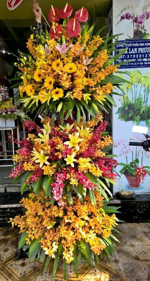 Flowers Opened In Binh Duong 51