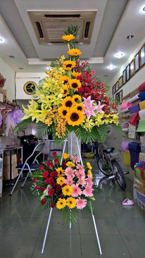 Flowers Opened In Binh Duong 52