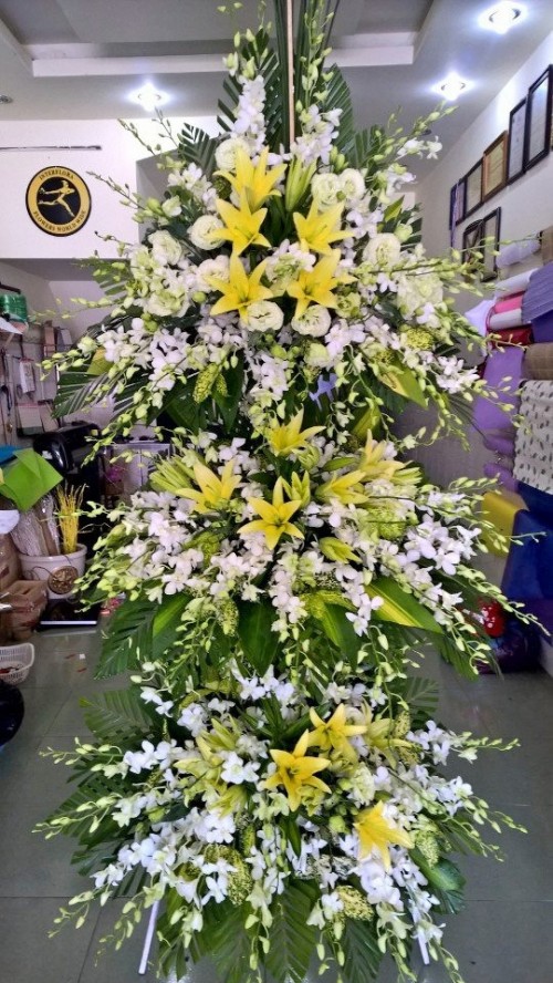 Flowers Opened In Binh Duong 53