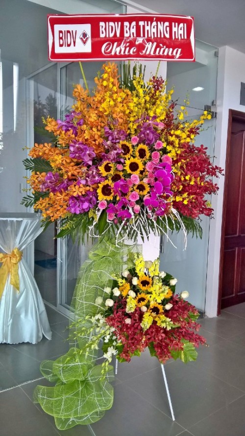 Flowers Opened In Binh Duong 54