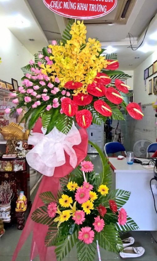 Flowers Opened In Binh Duong 57