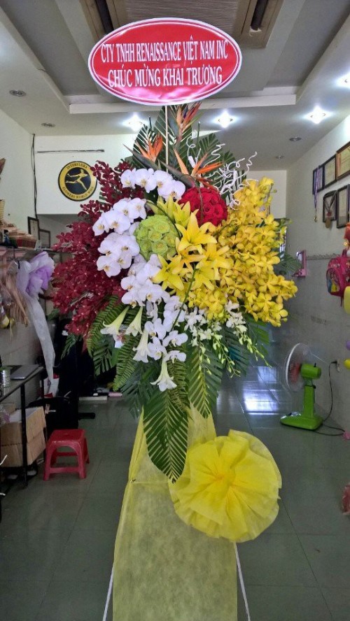 Flowers Opened In Binh Duong 59