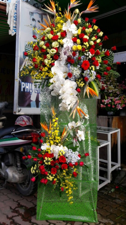Flowers Opened In Binh Duong 61