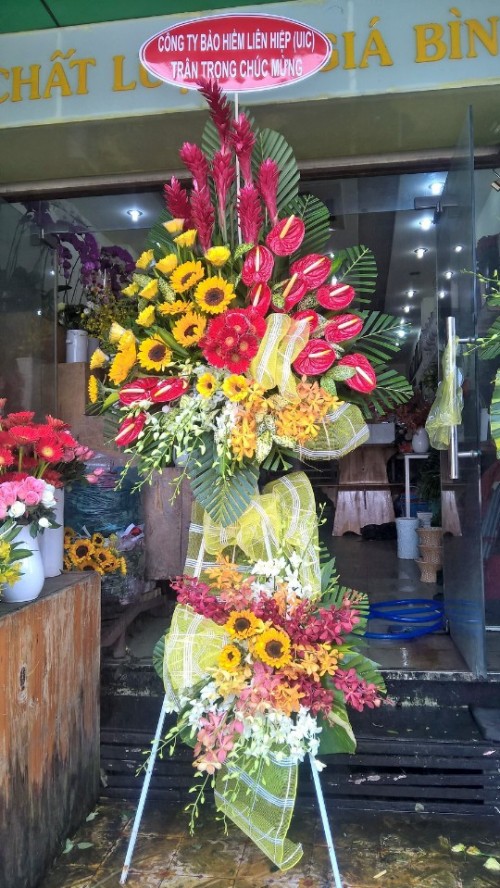 Flowers Opened In Binh Duong 62