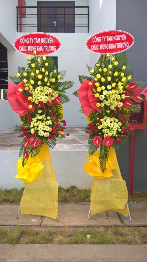 Flowers Opened In Binh Duong 64
