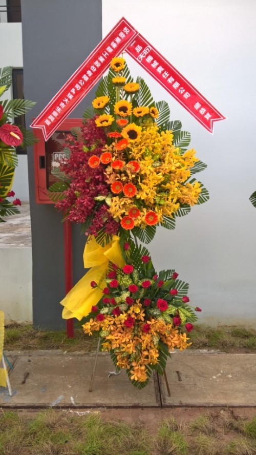 Flowers Opened In Binh Duong 65