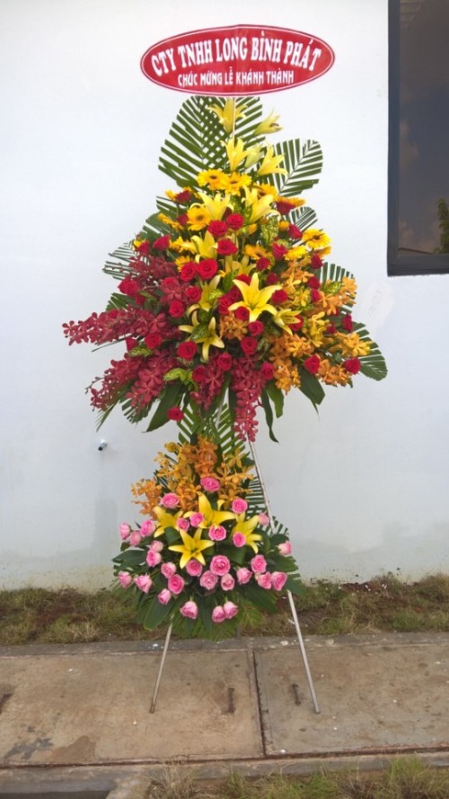 Flowers Opened In Binh Duong 67