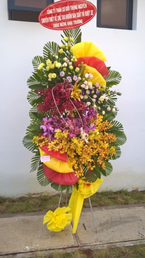 Flowers Opened In Binh Duong 69