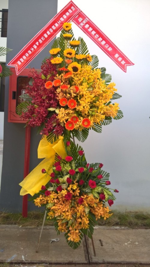 Flowers Opened In Binh Duong 71